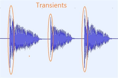 what is a transient in music? the fleeting moments of sound